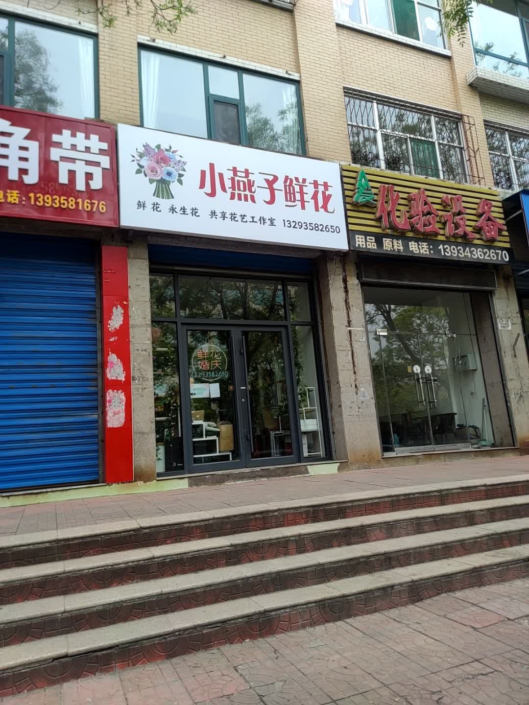 小燕子鲜花