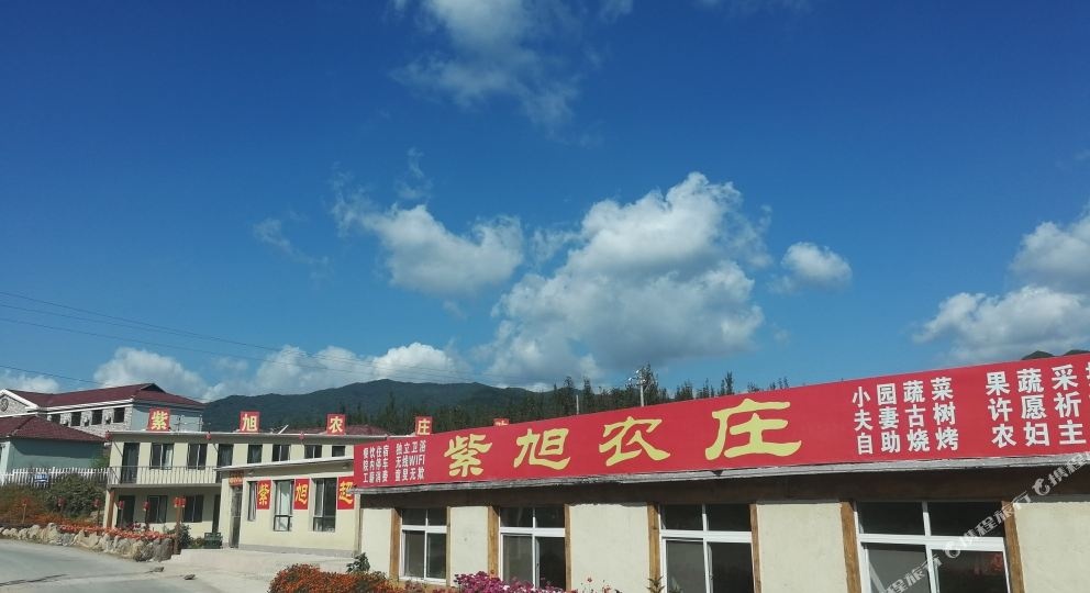 紫旭浓妆