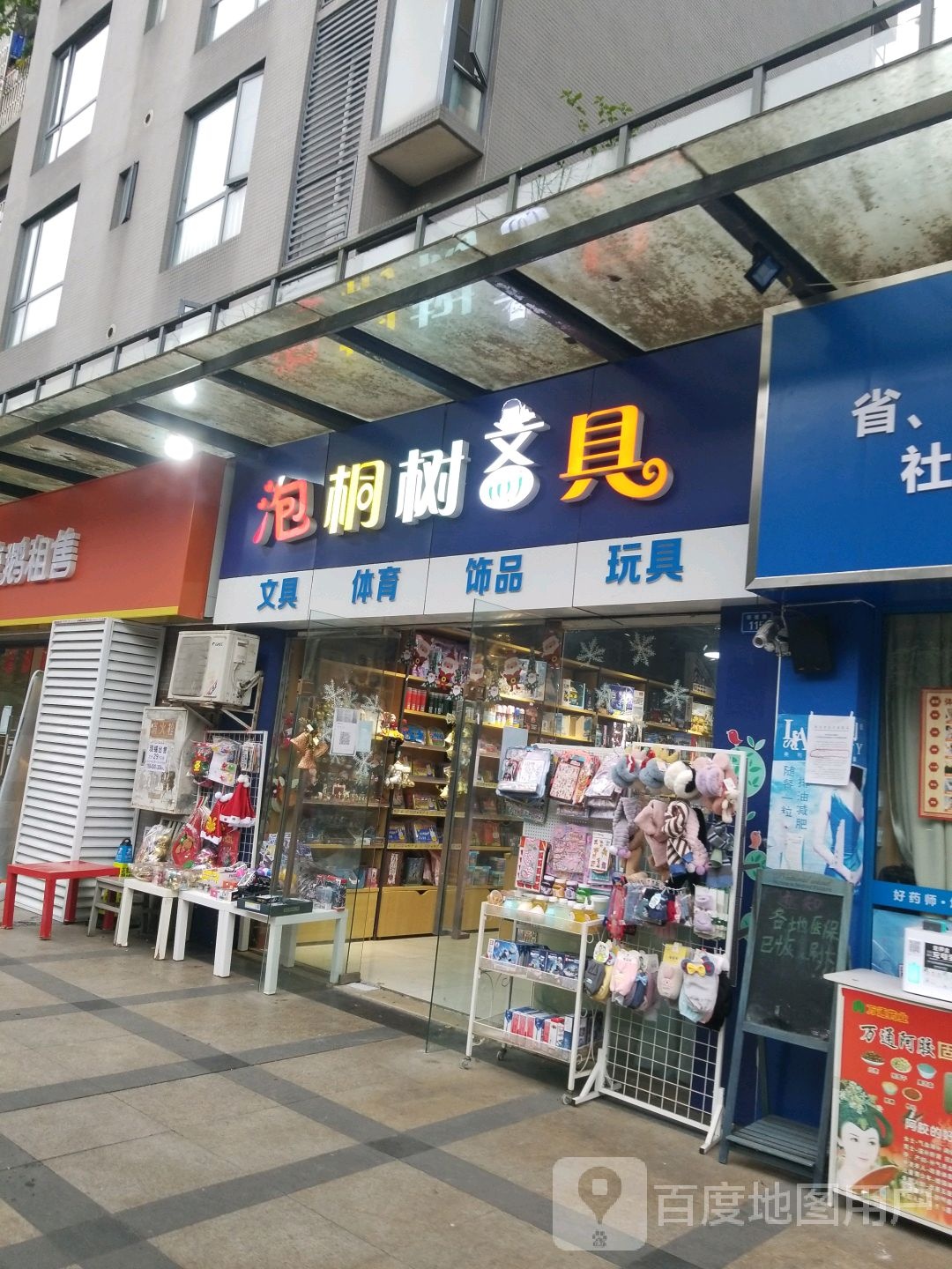 泡桐树攵俱
