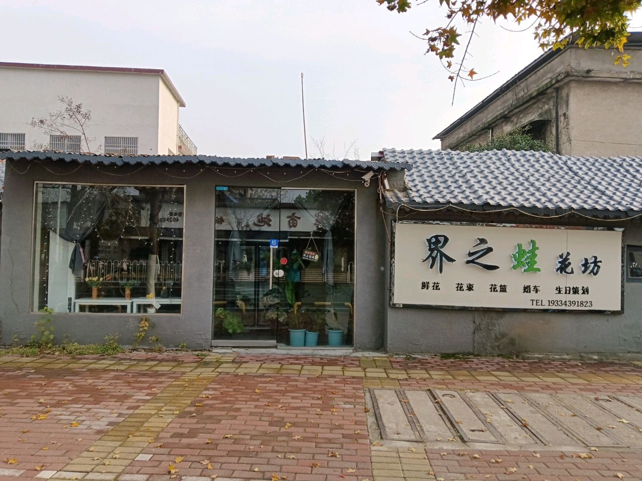 界之蛙花坊