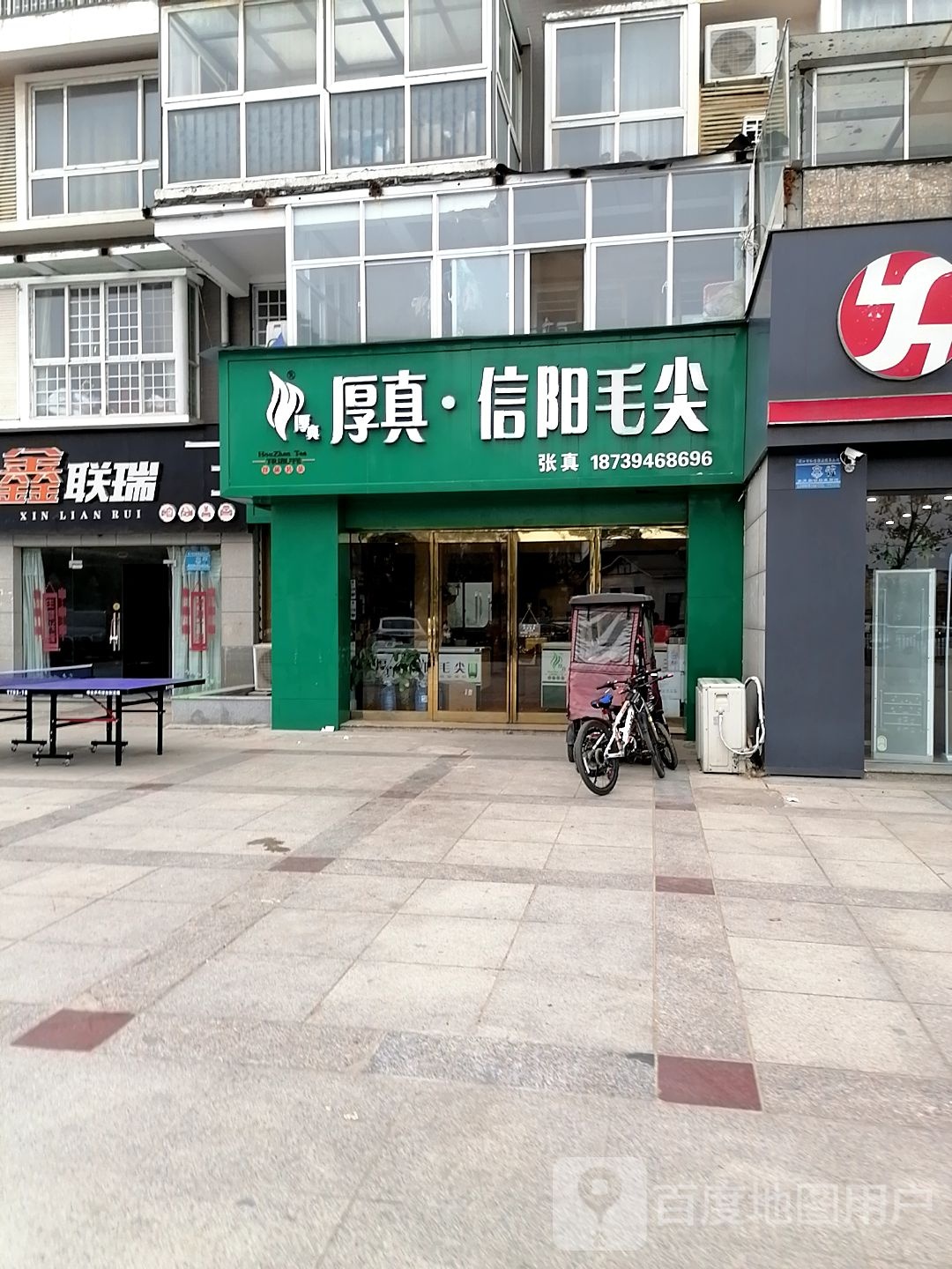 厚真信阳毛尖