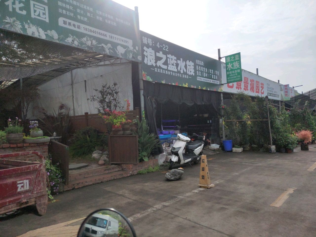 浪之蓝水族