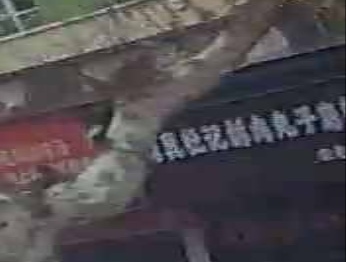 清真杜记酥肉丸子麻辣鸡