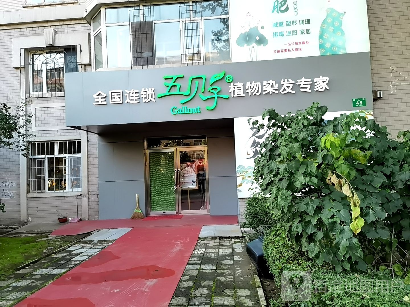 五贝子植物染发(泰山小区店)