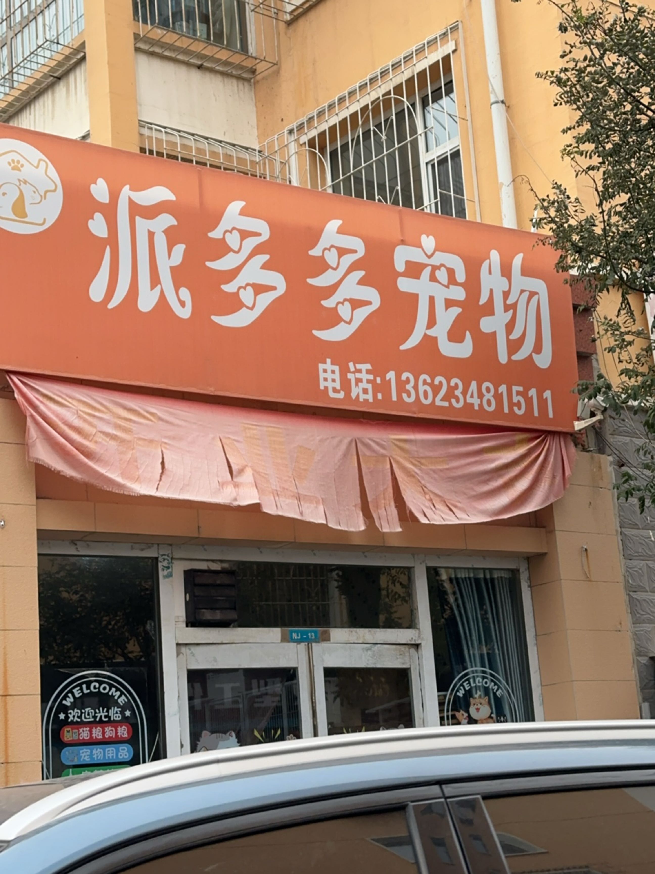 派多多宠物