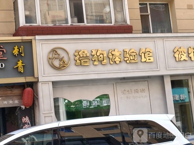彼特家撸狗体验馆