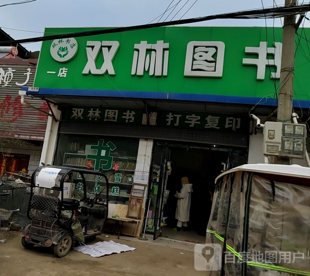 双林镇图(一店)