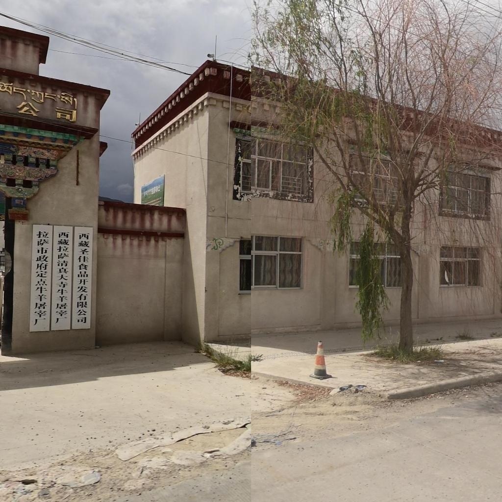 西藏拉萨清真大寺牛羊屠宰厂