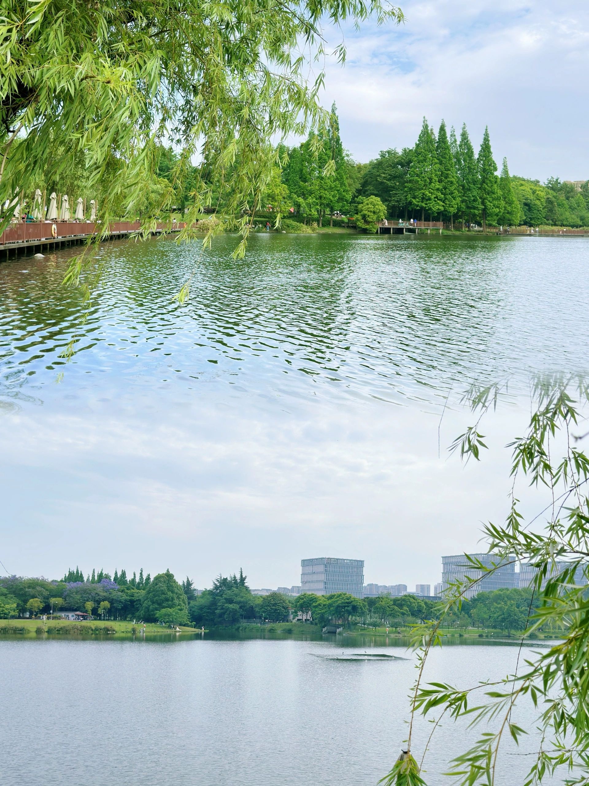 双流区中心公园