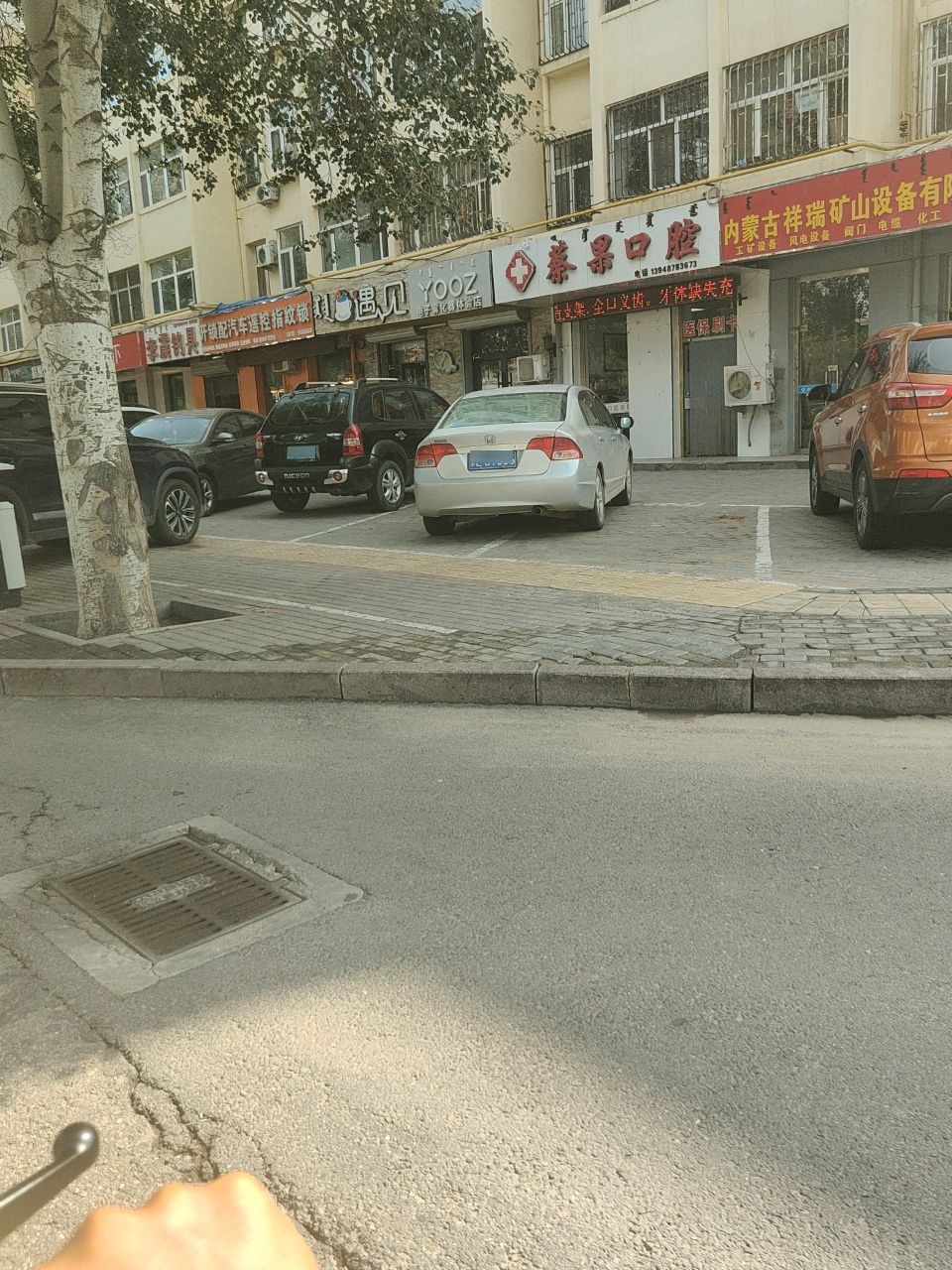 李震钓具(团结路店)