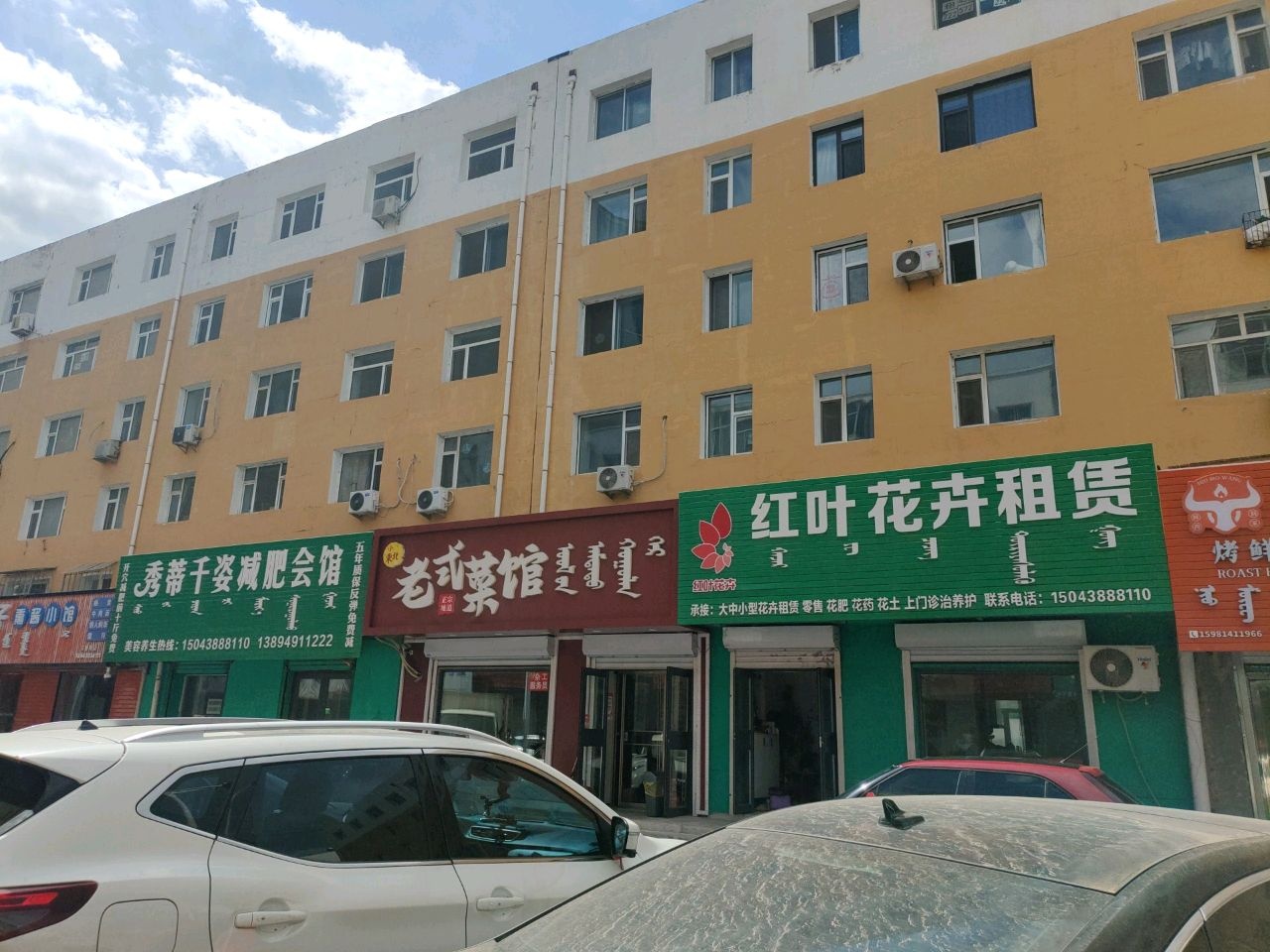 红叶花卉租赁