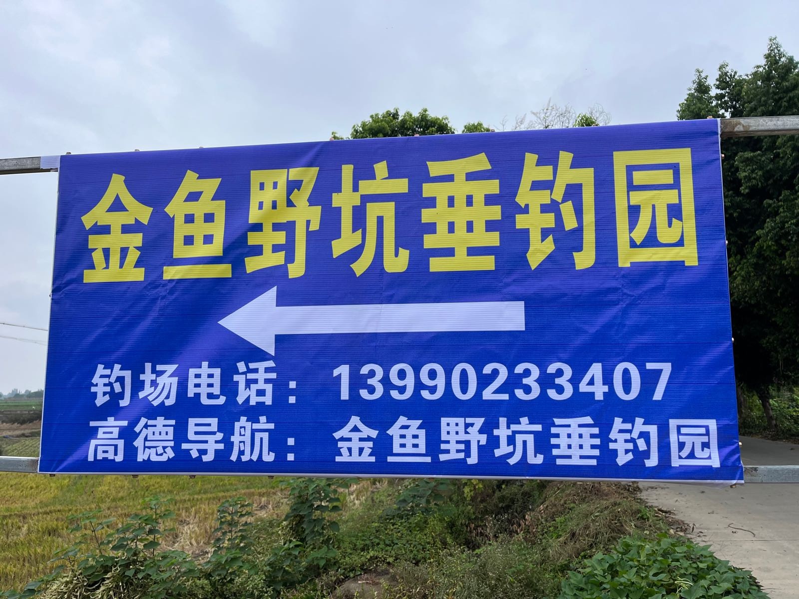 金鱼野坑垂钓园