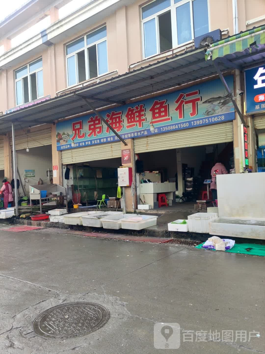 兄弟海鱼市行