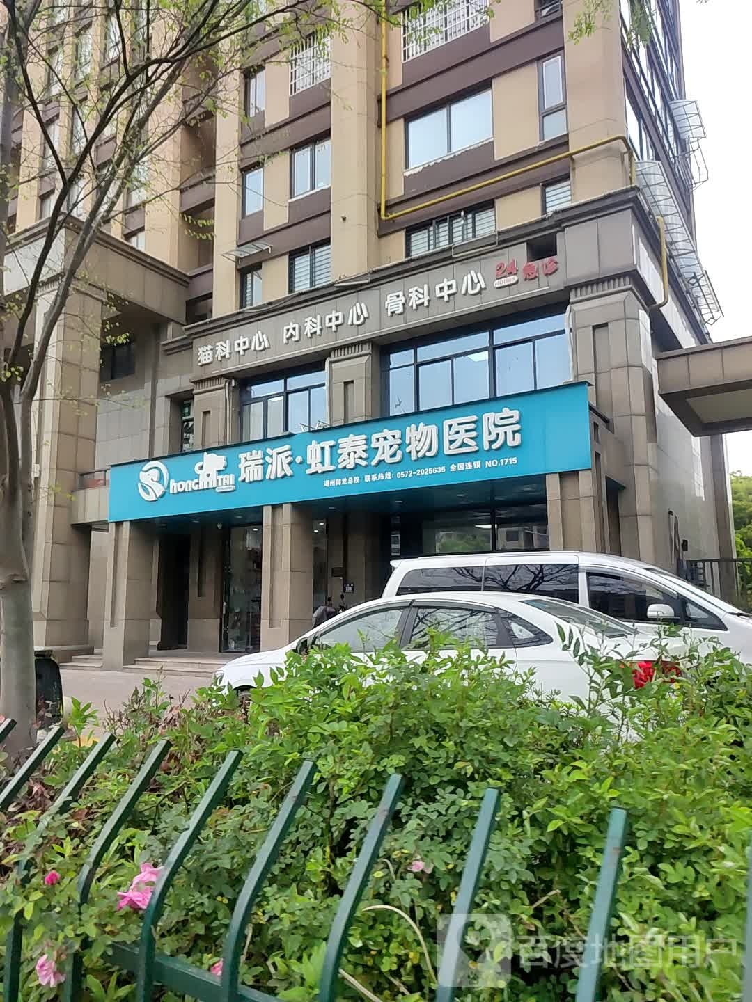 猫科中心内科中心骨科中心