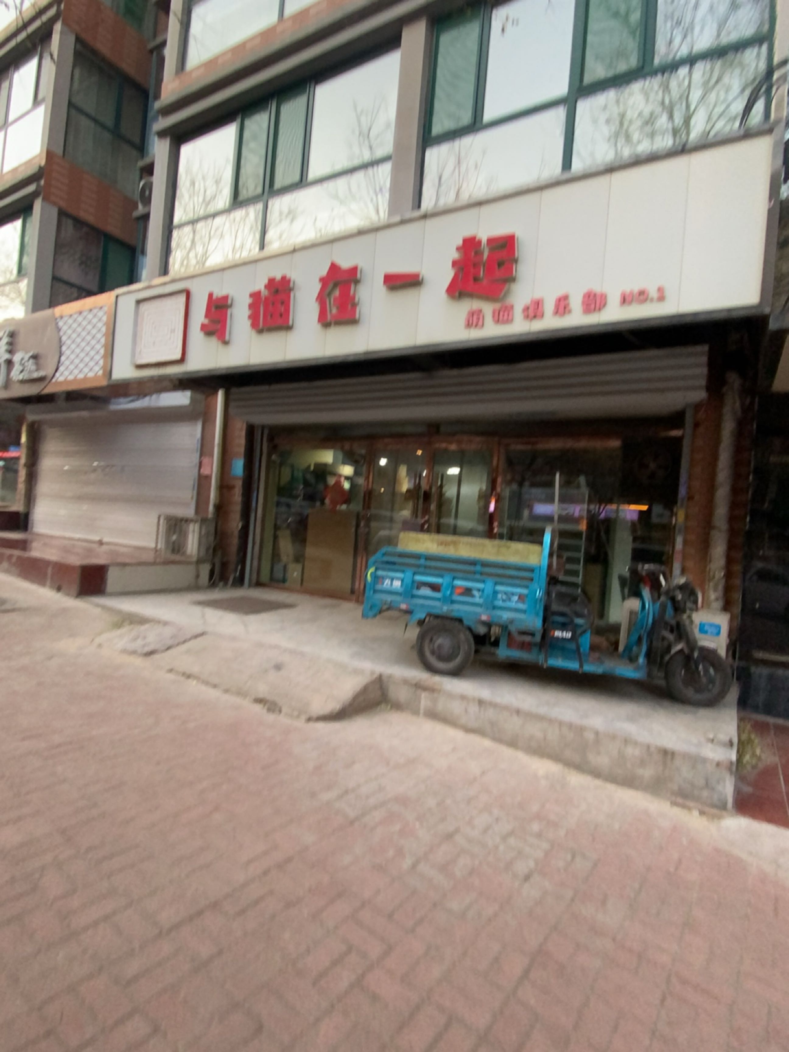 与猫在一起萌猫俱乐部