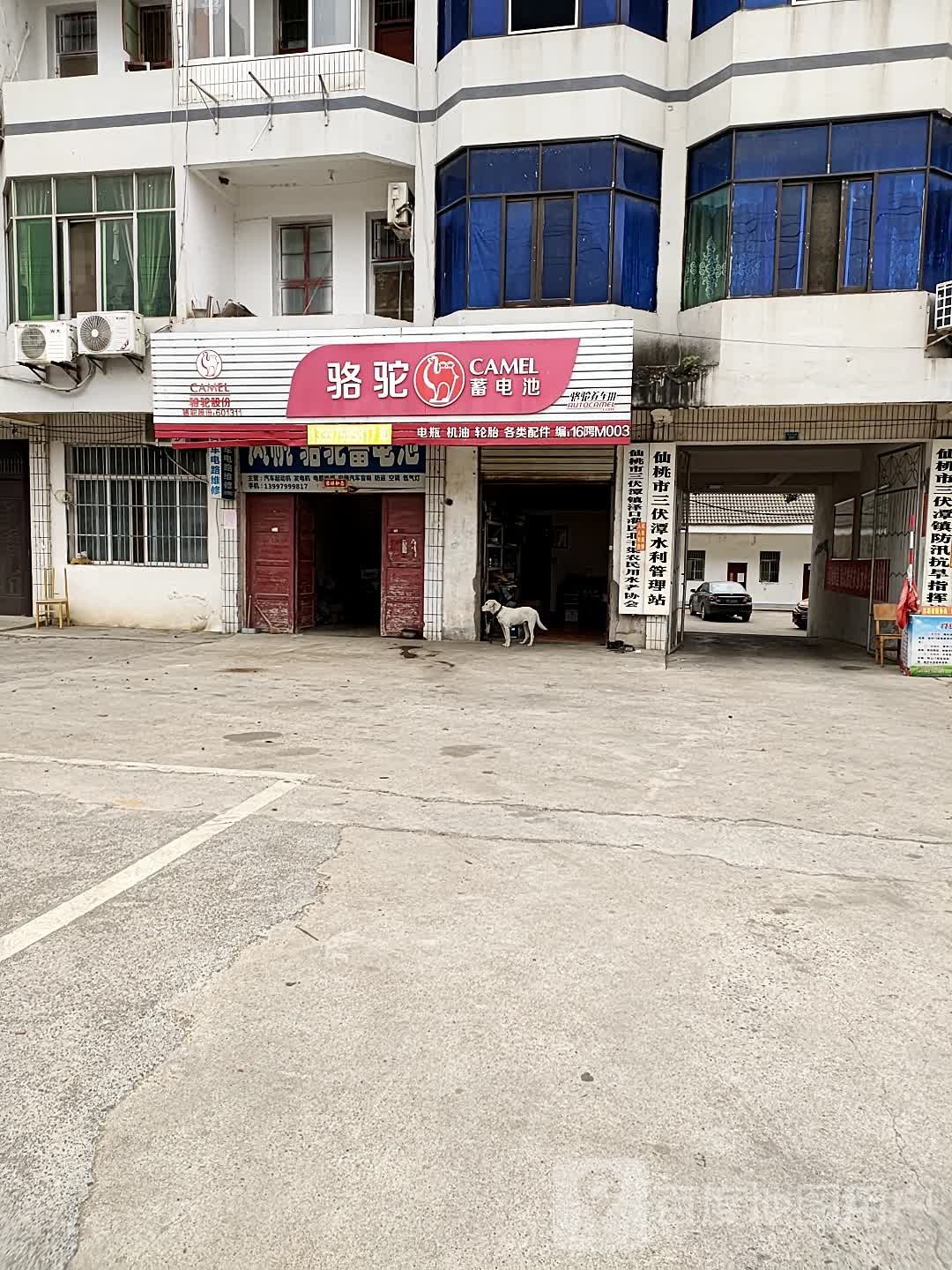 仙桃市三伏潭水利管理站