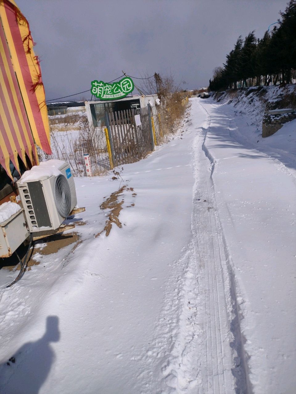 萌宠公园