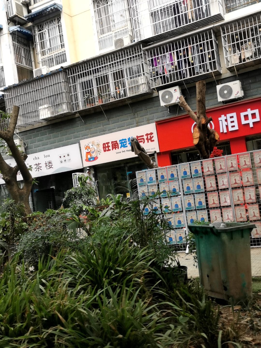 旺角宠物与花