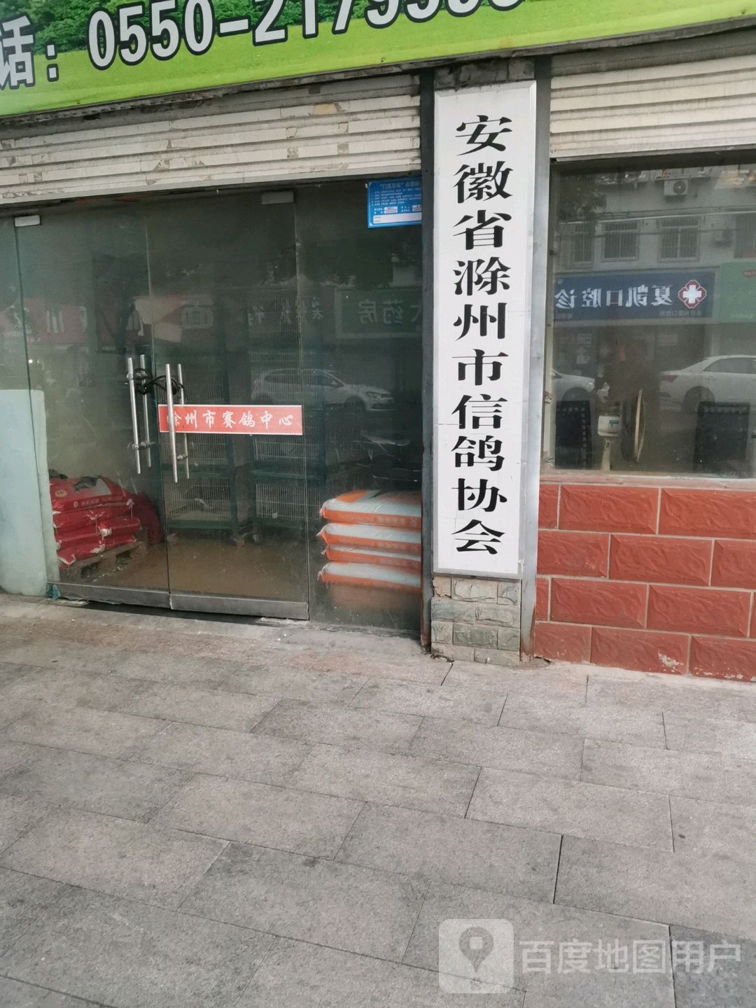 安徽省滁州市信鸽协会