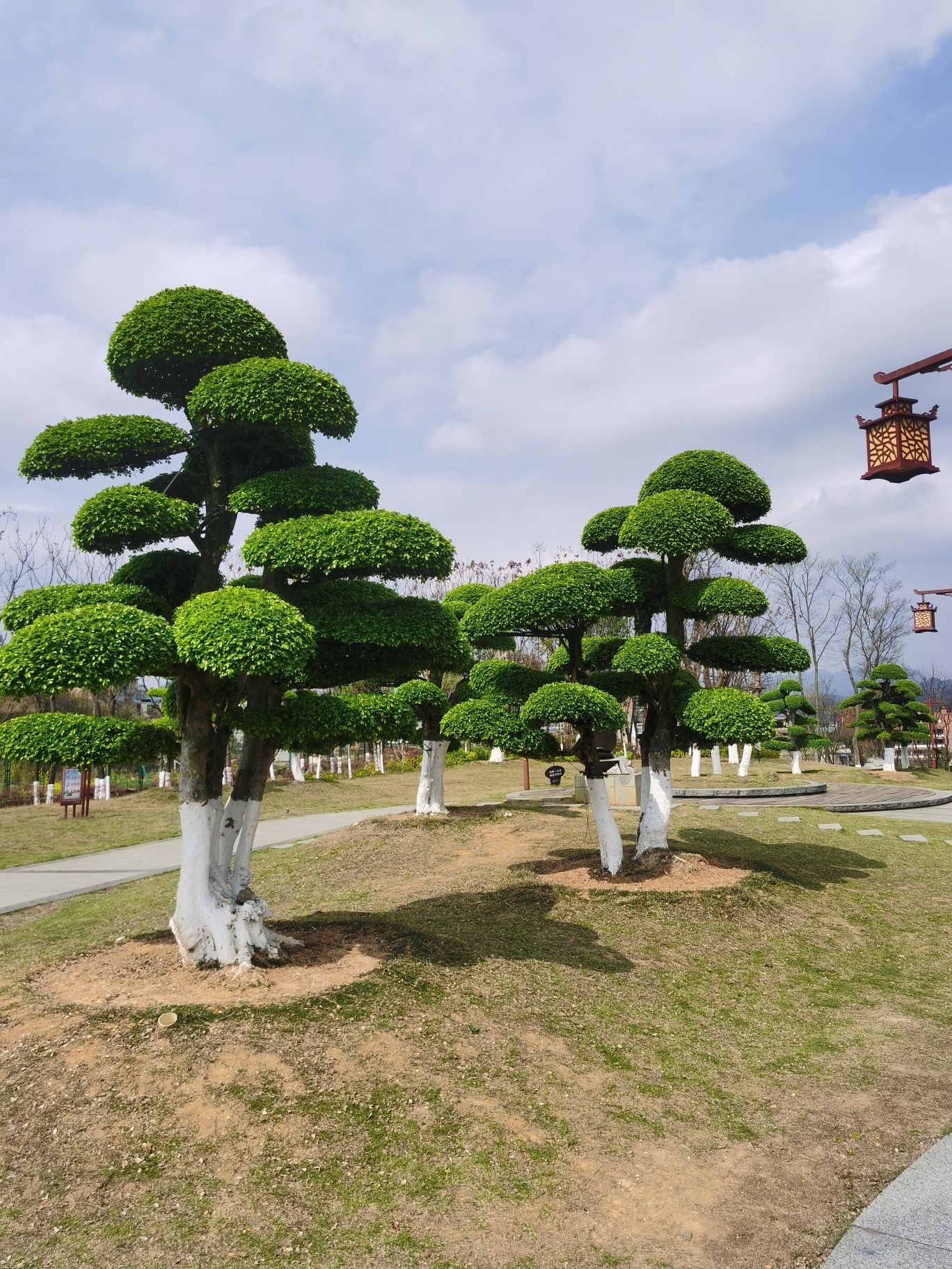 楠竹林公园