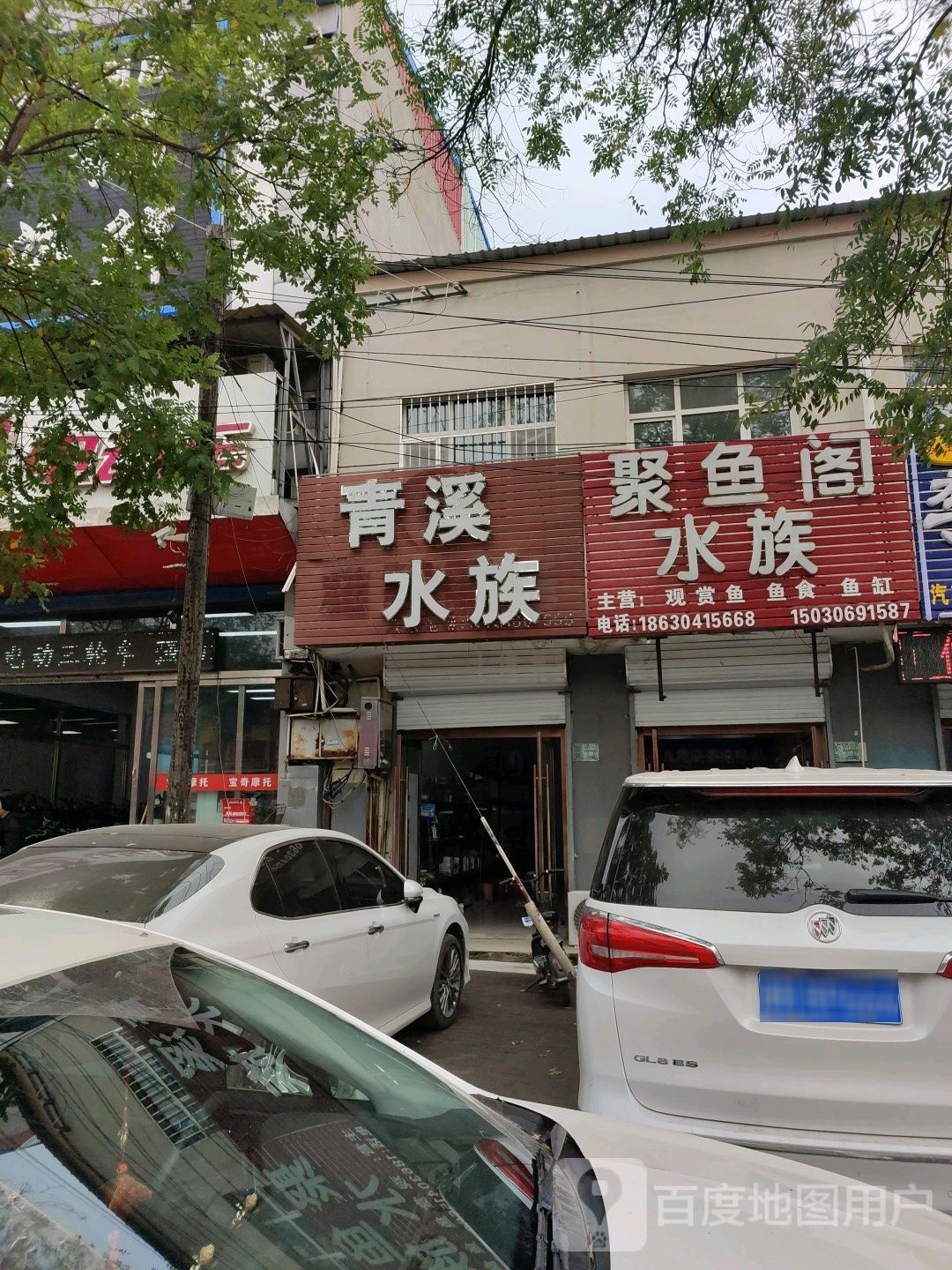 聚鱼阁水景