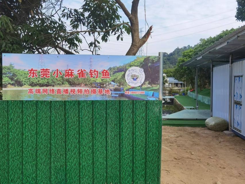 东莞小麻雀钓鱼