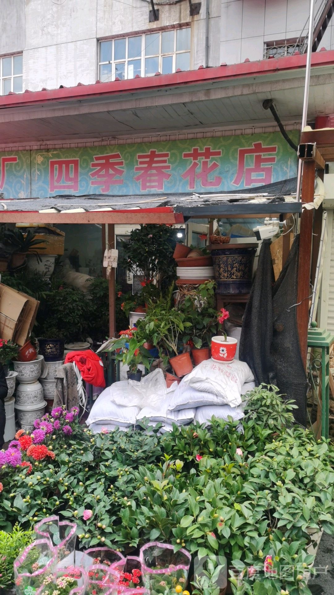 四季春花店(永昌路店)