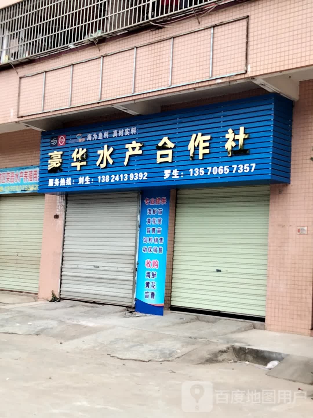 豪华水产合作社
