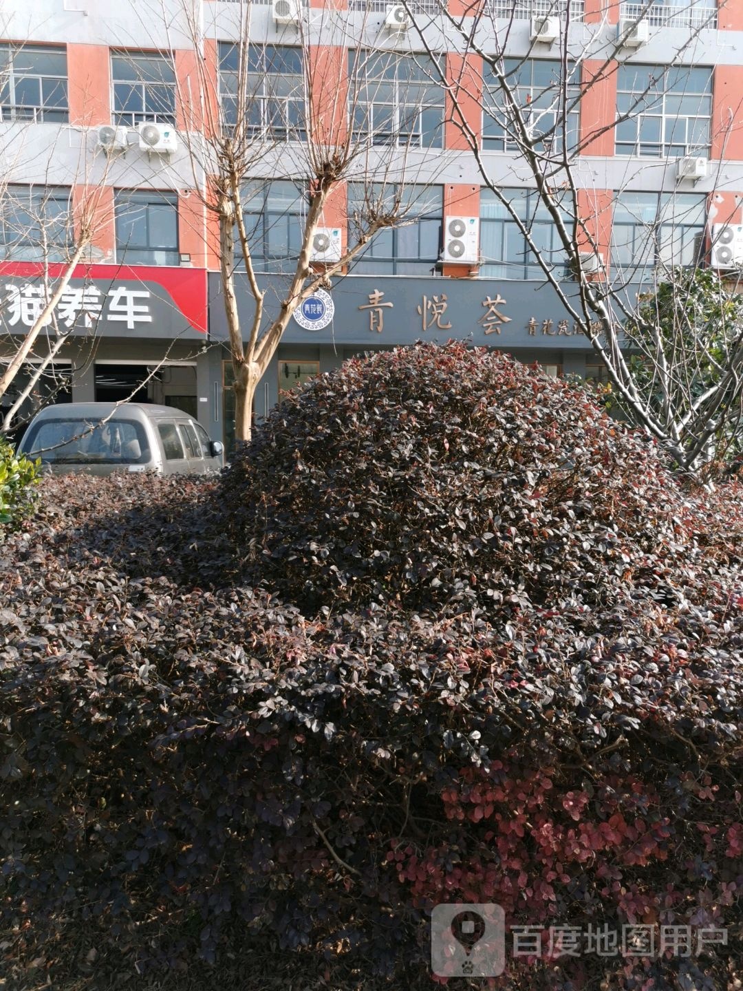 青悦荟青花瓷酒体验馆(金霞路店)