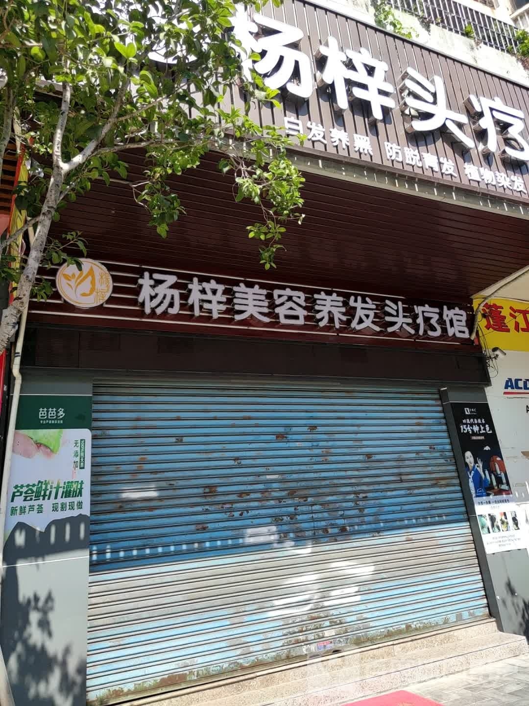 杨梓美容养发头疗馆