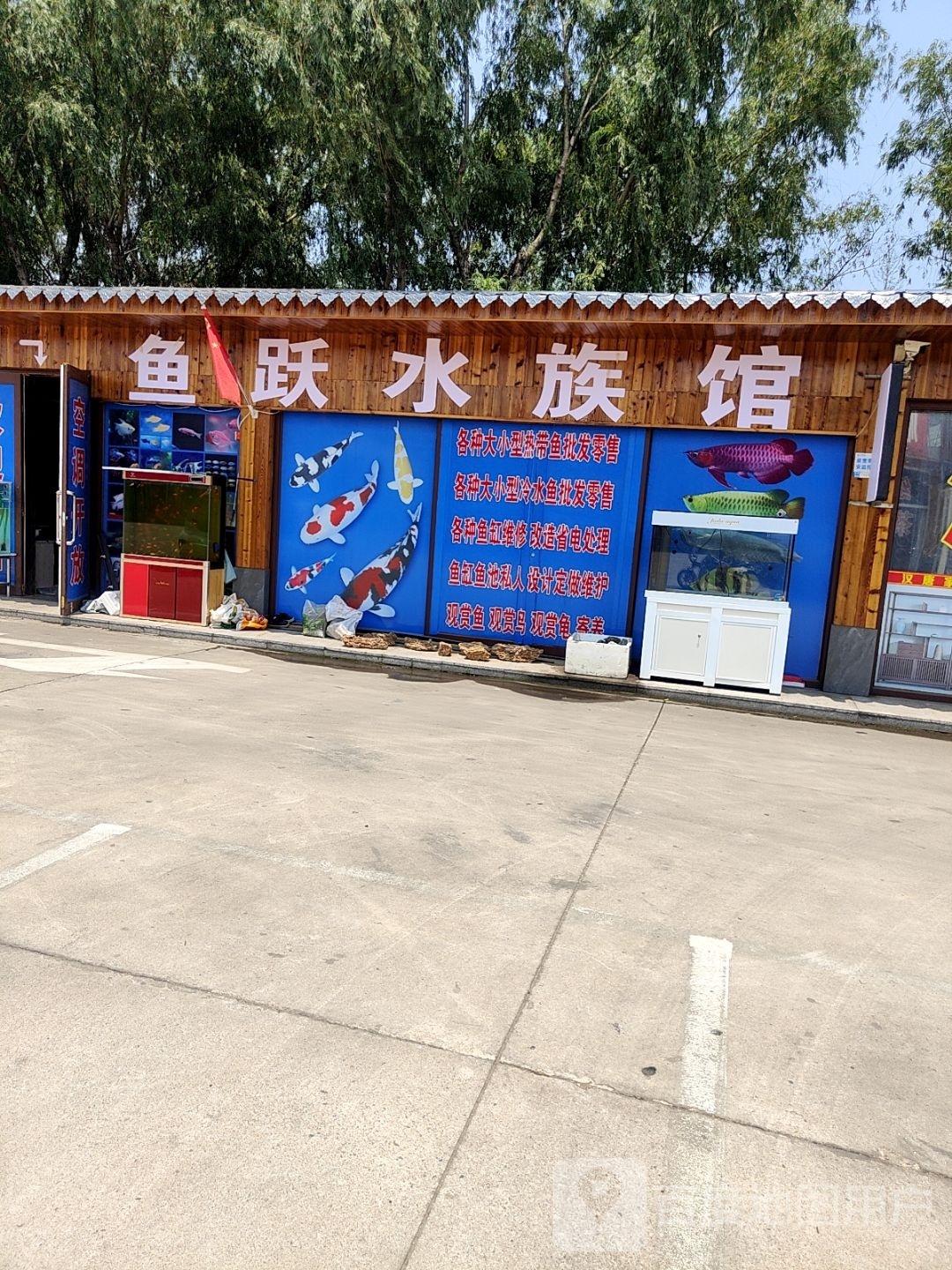鱼跃水族馆(迎宾路店)