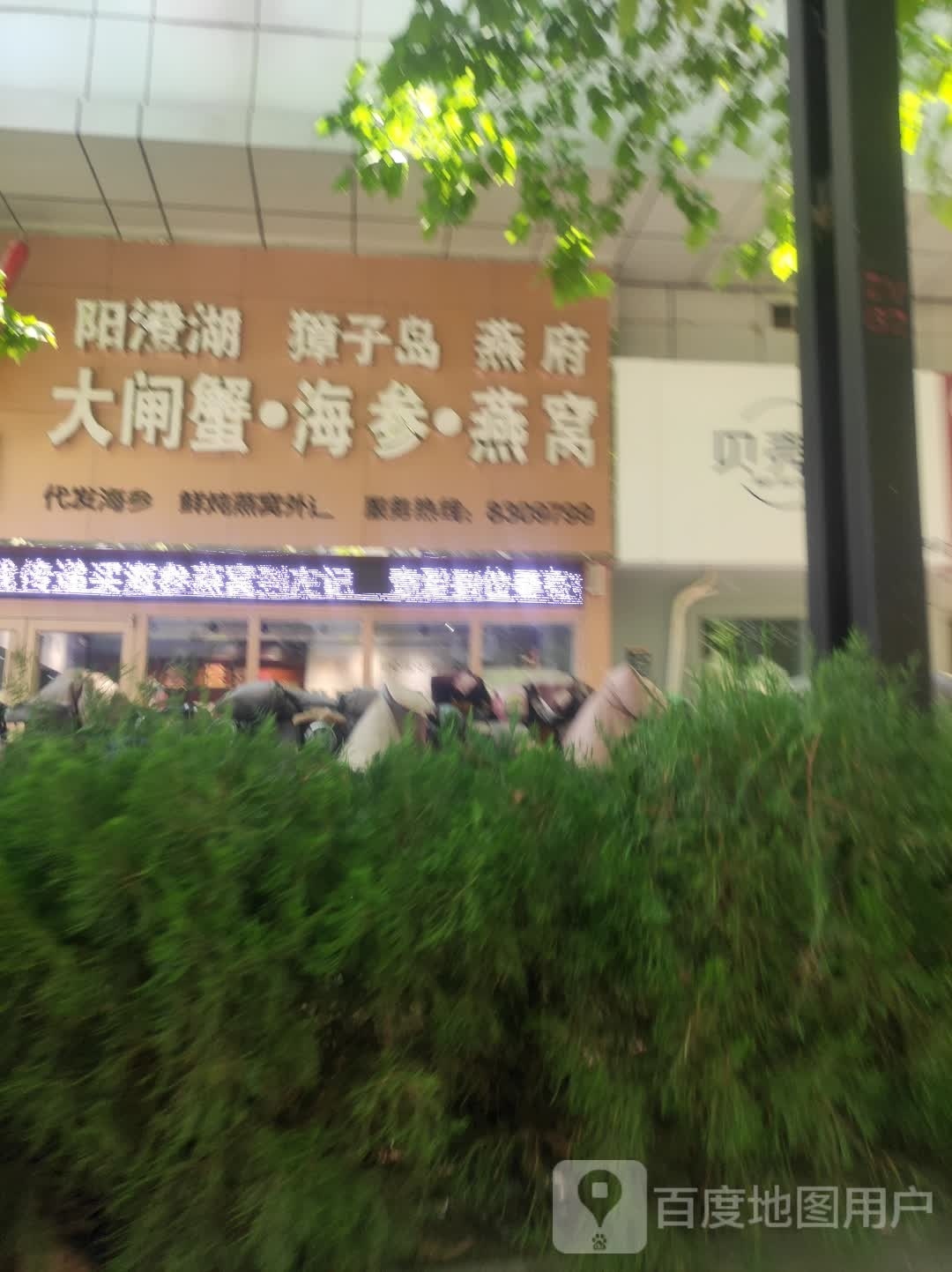左记阳澄湖大闸蟹獐子岛海参燕府燕窝(聊城开发区店)