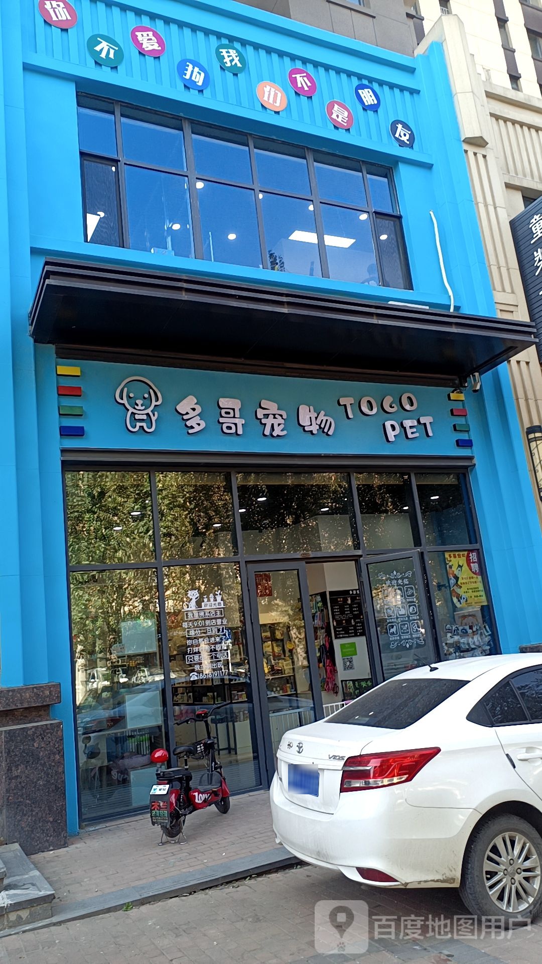 多哥宠物店