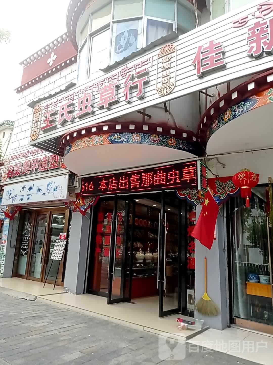 王氏虫草行