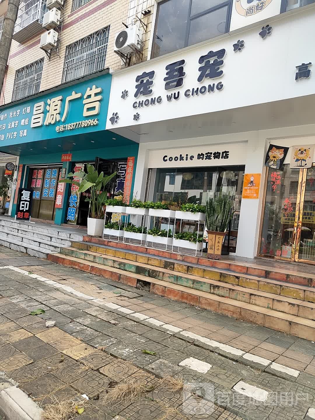 Cookie的宠物店