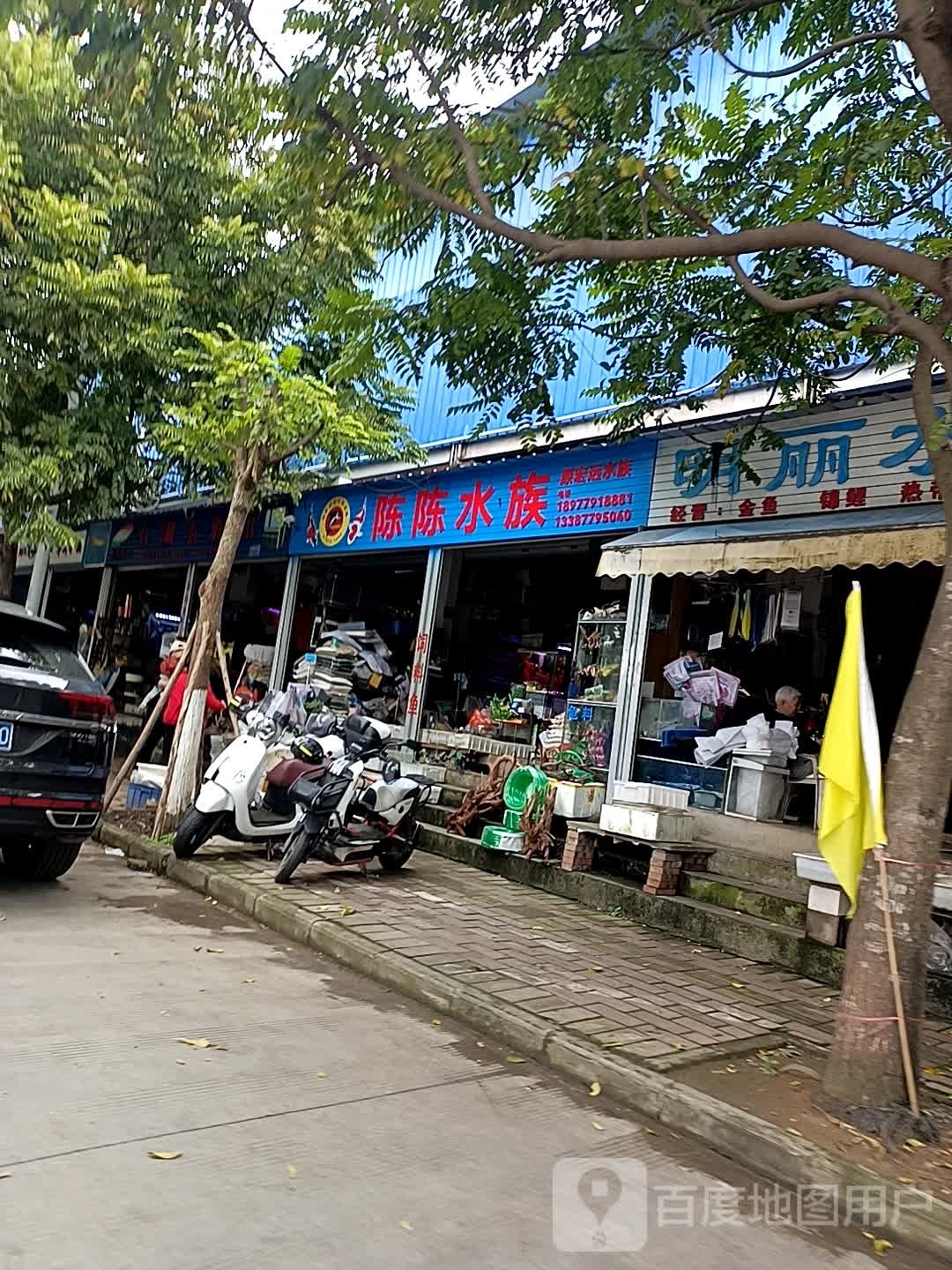 明丽水族