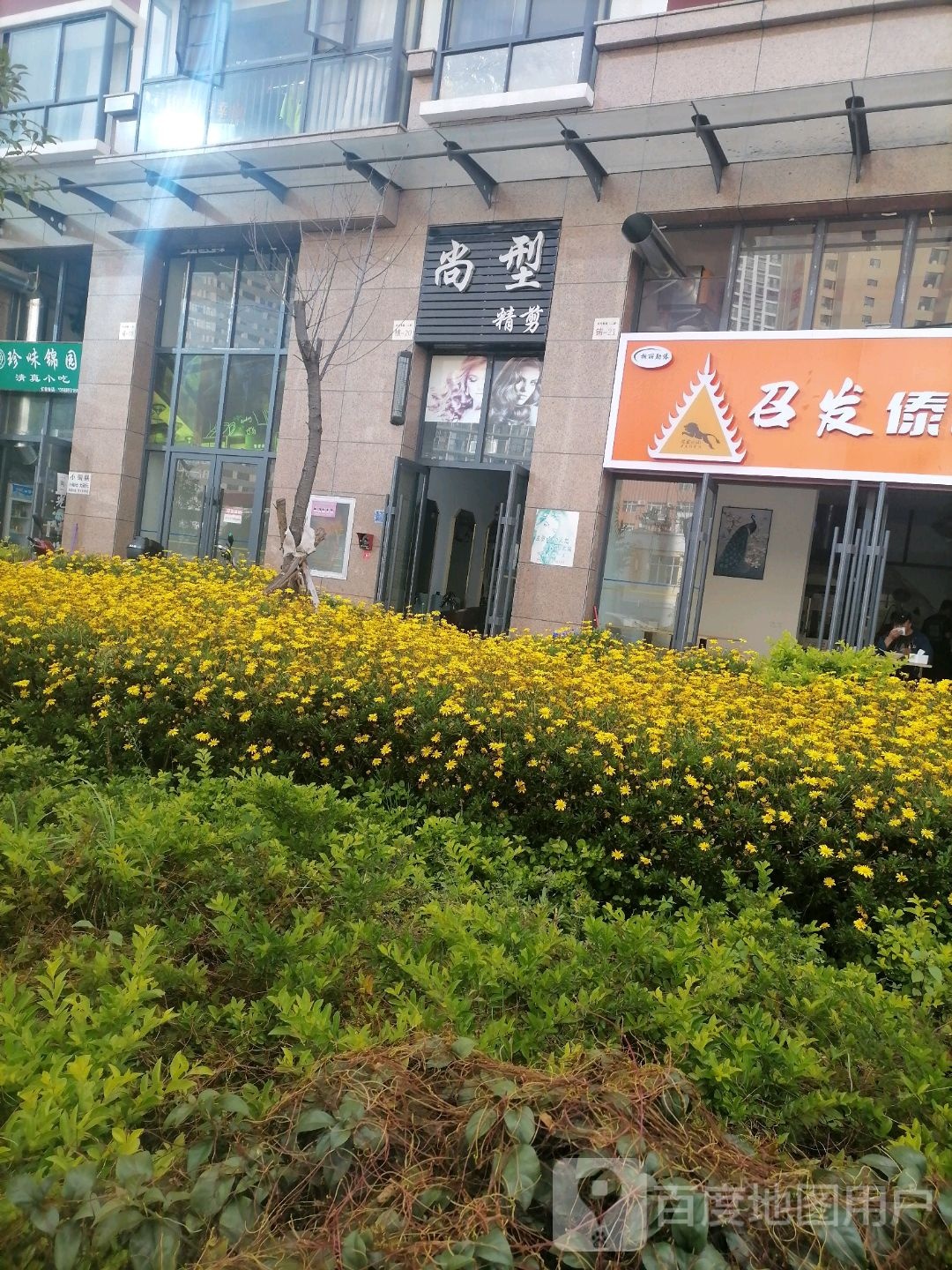 尚型精剪