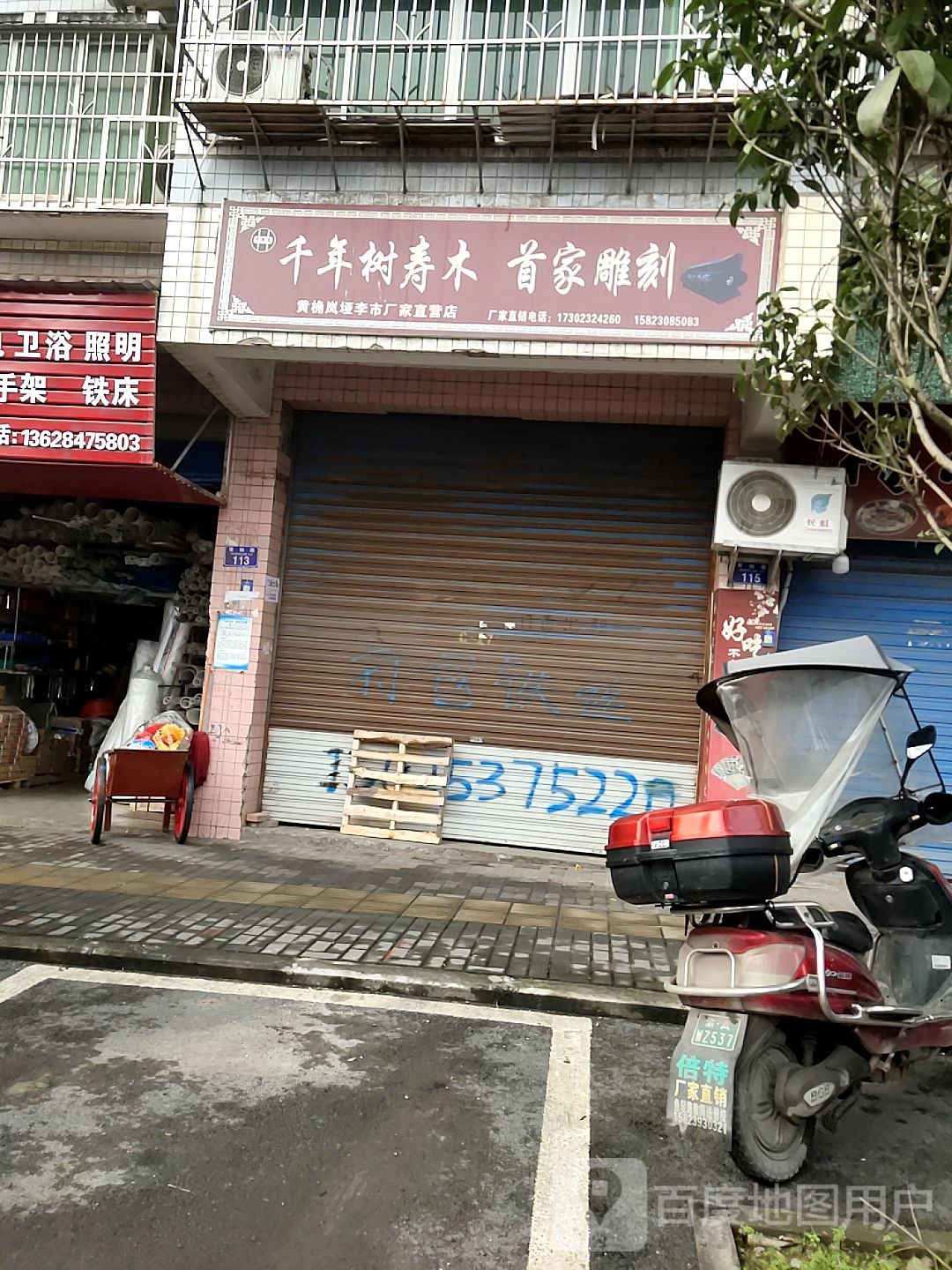 千年树寿木