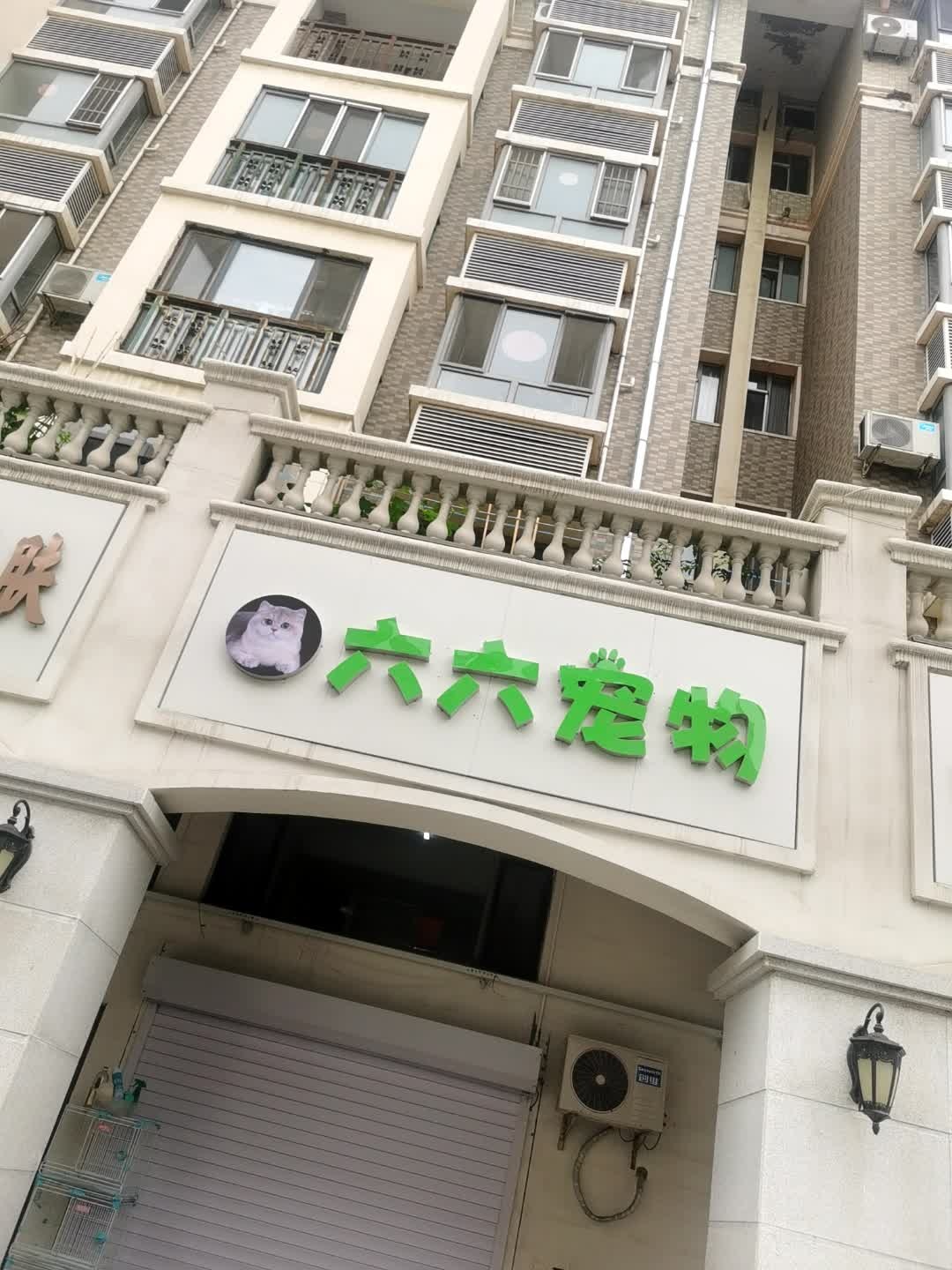 六六宠物