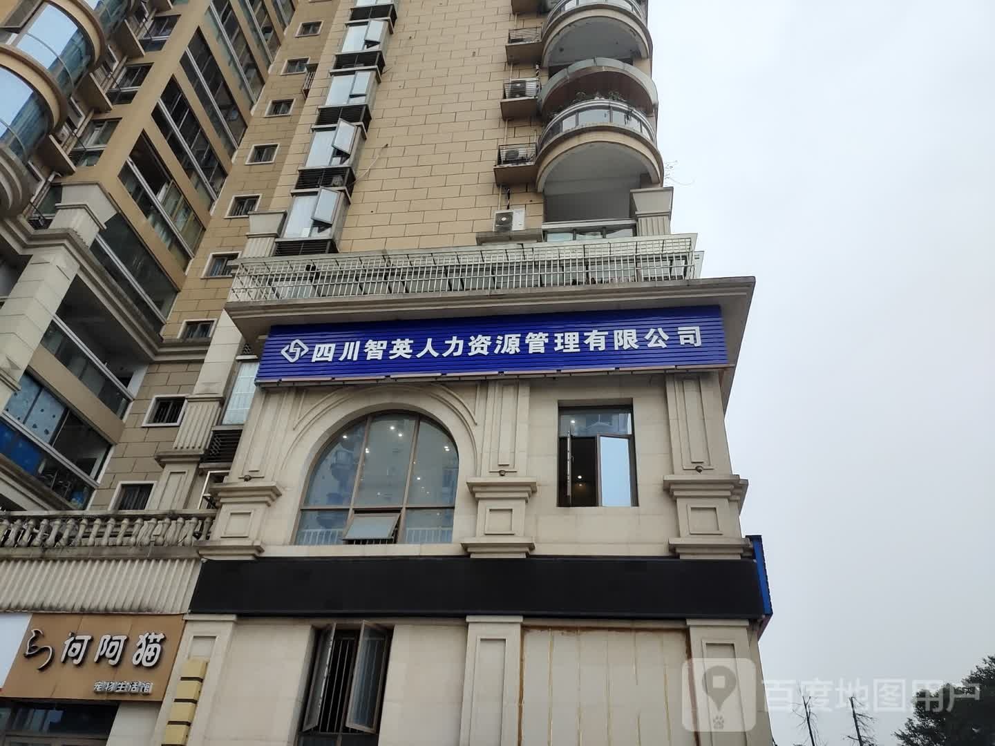 何阿猫宠物生活馆