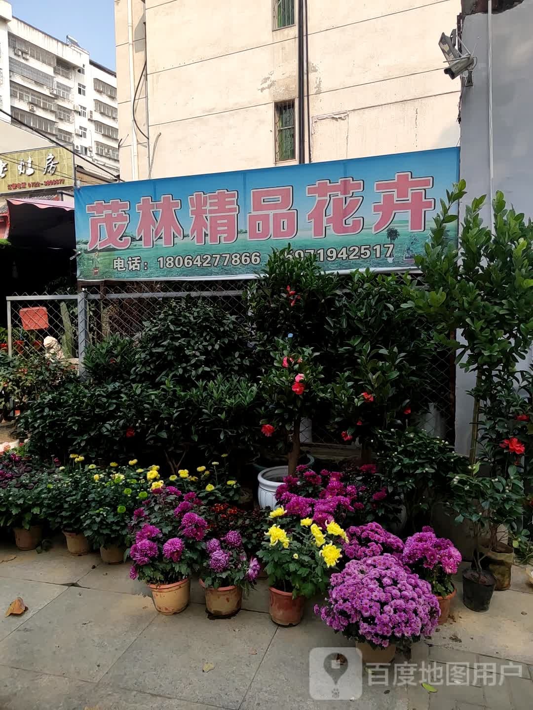 茂林精品花卉