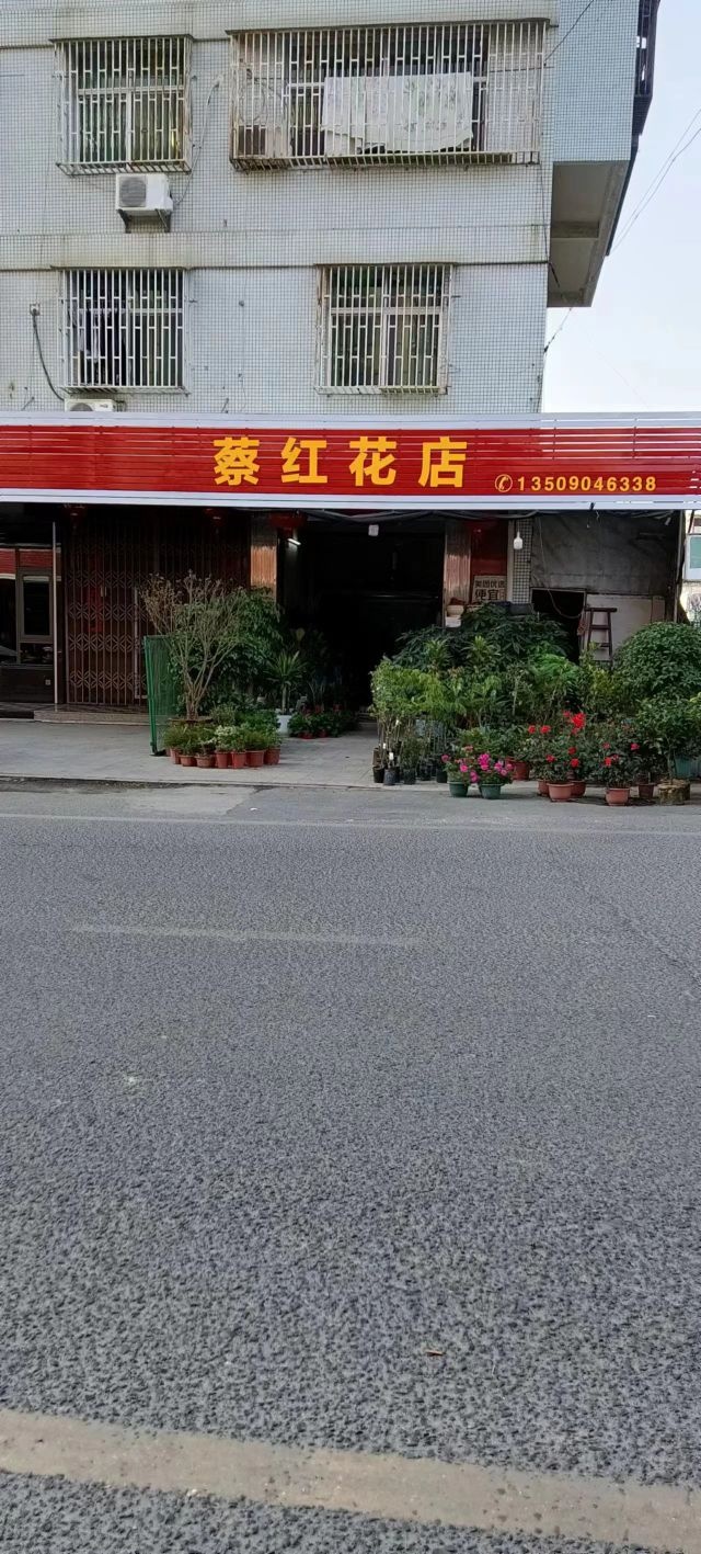 蔡红花点