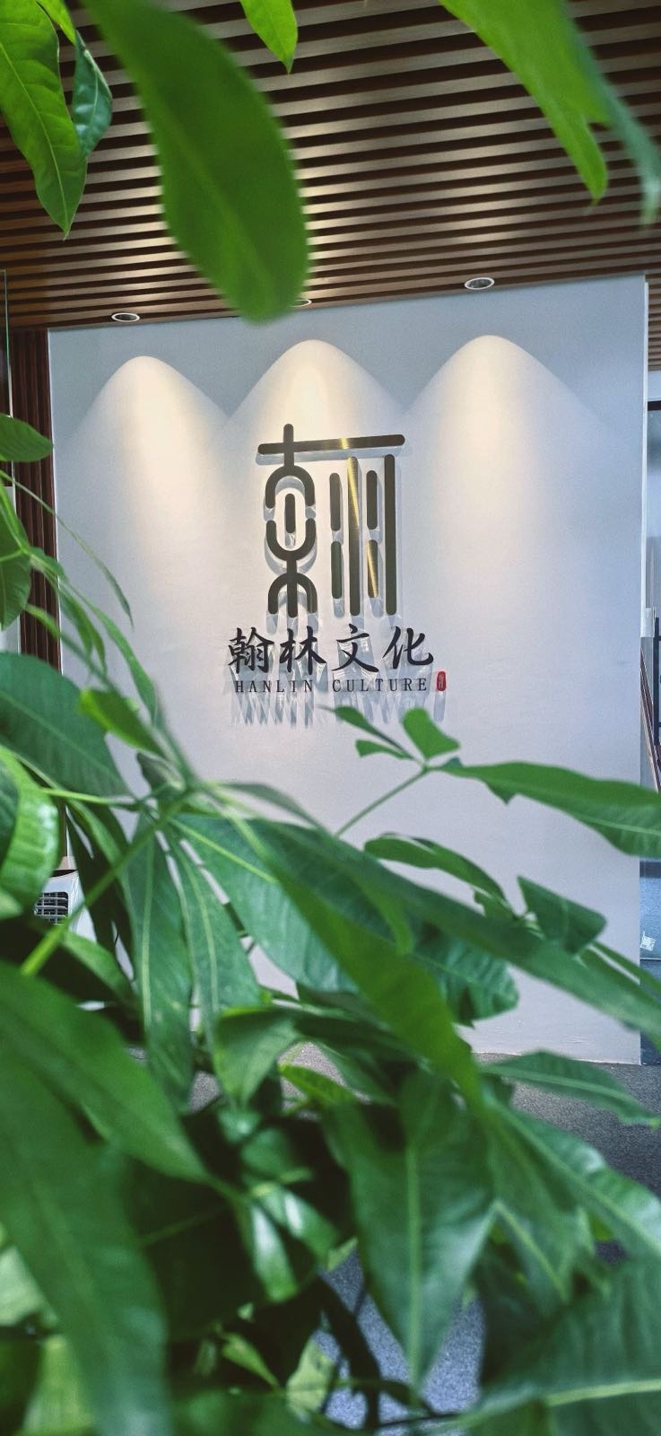 佛山市翰林文化传播有限公司