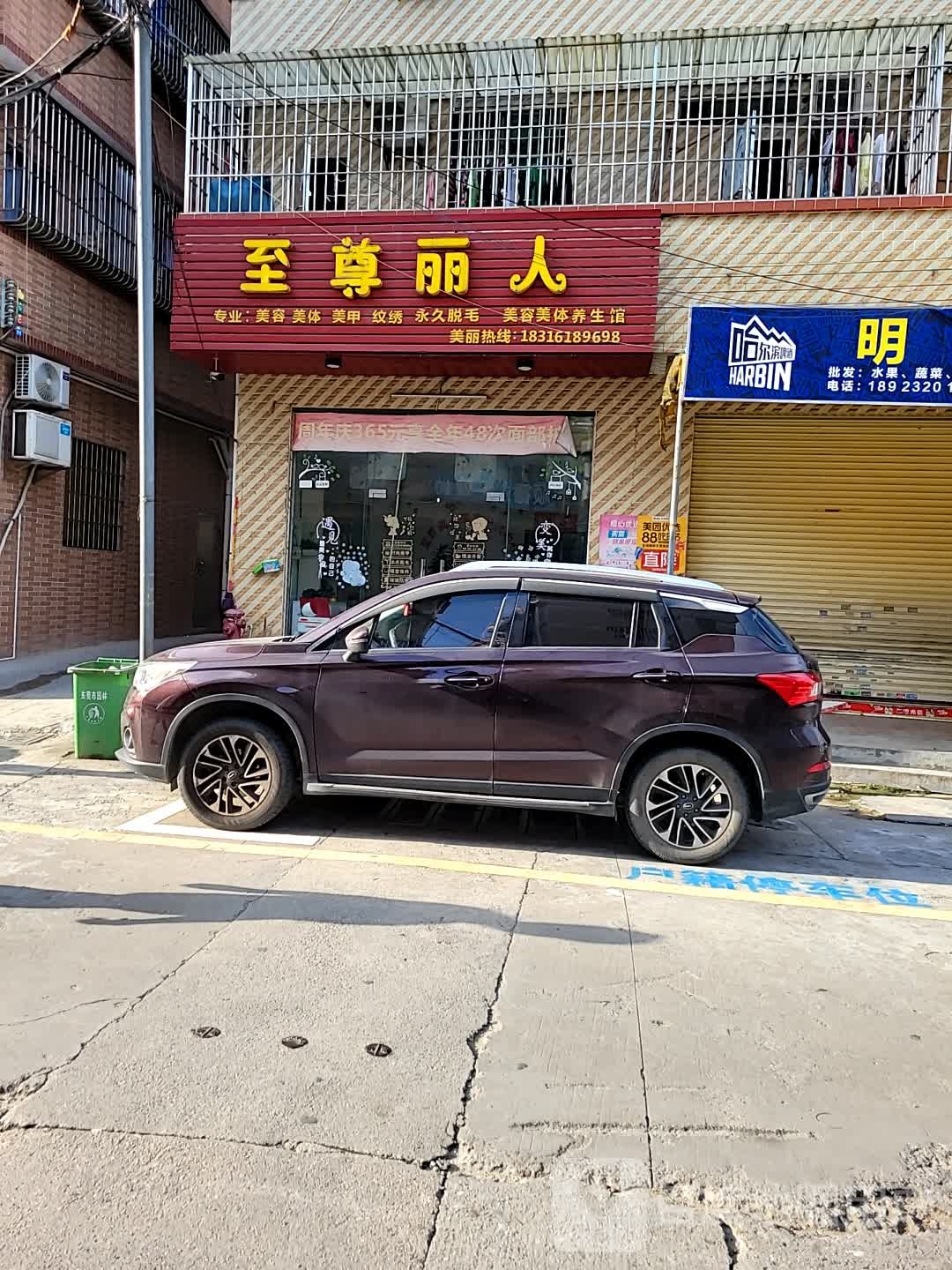至尊丽人