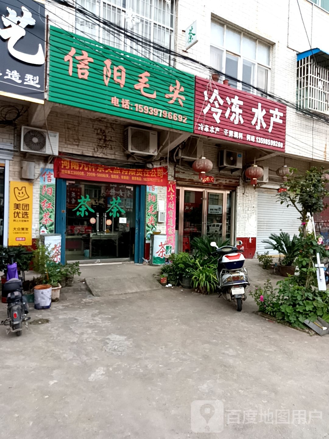 息县项店镇信阳毛尖