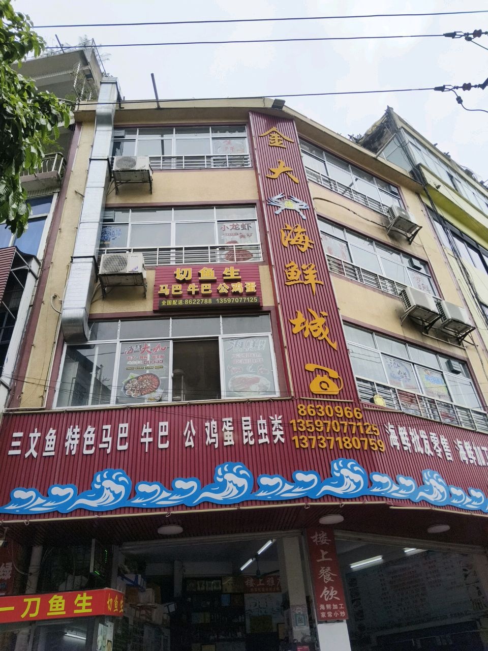 切鱼生马巴牛巴公鸡蛋