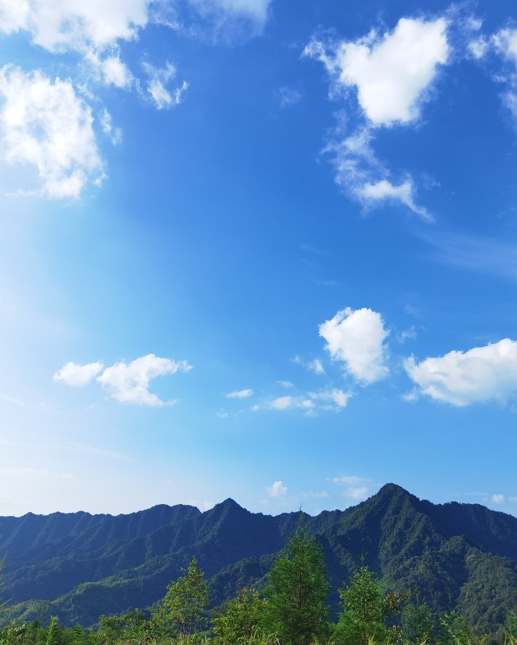 四川画稿溪国家级自然保护区