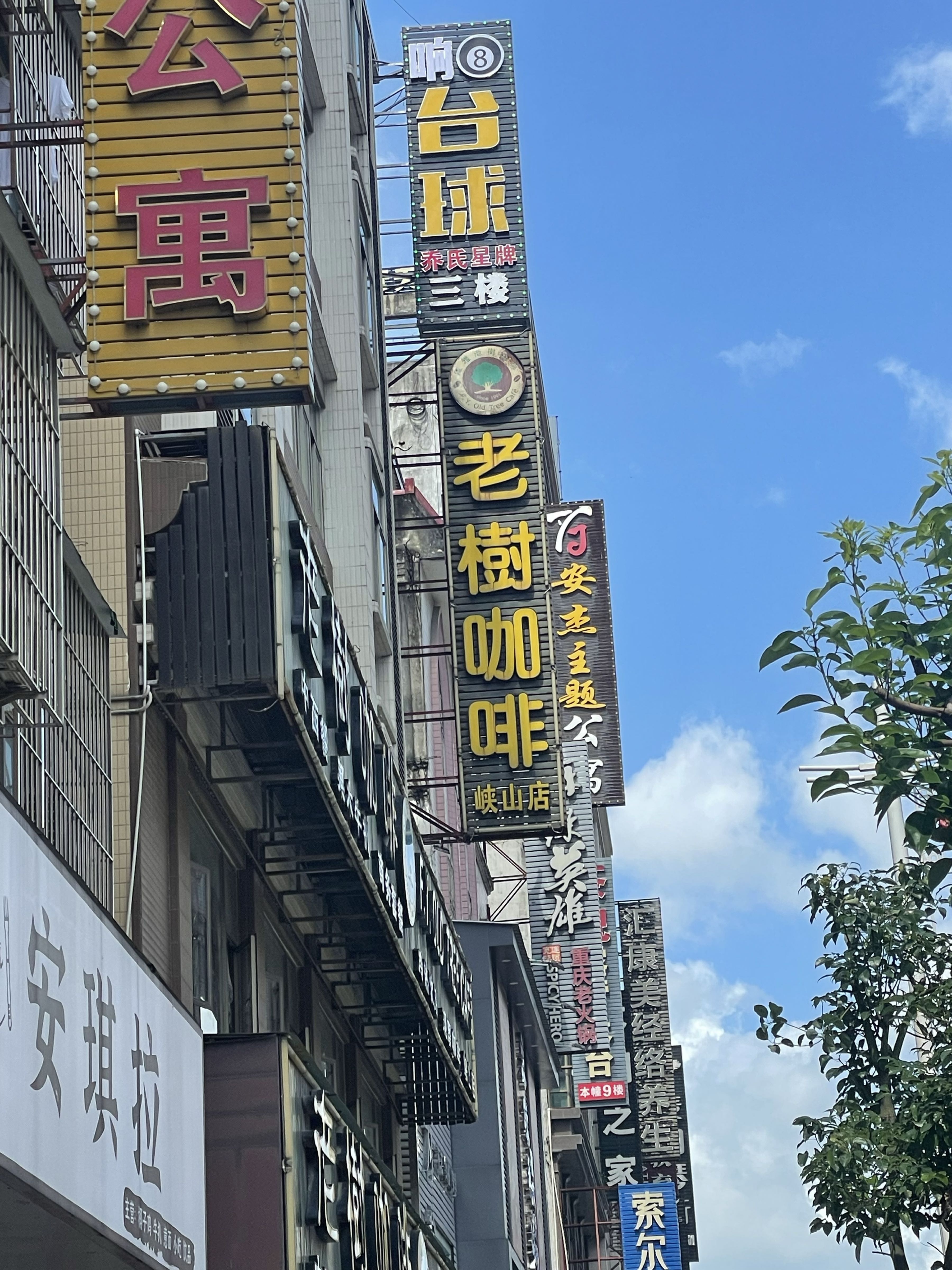 鹿八俜响台球俱乐部