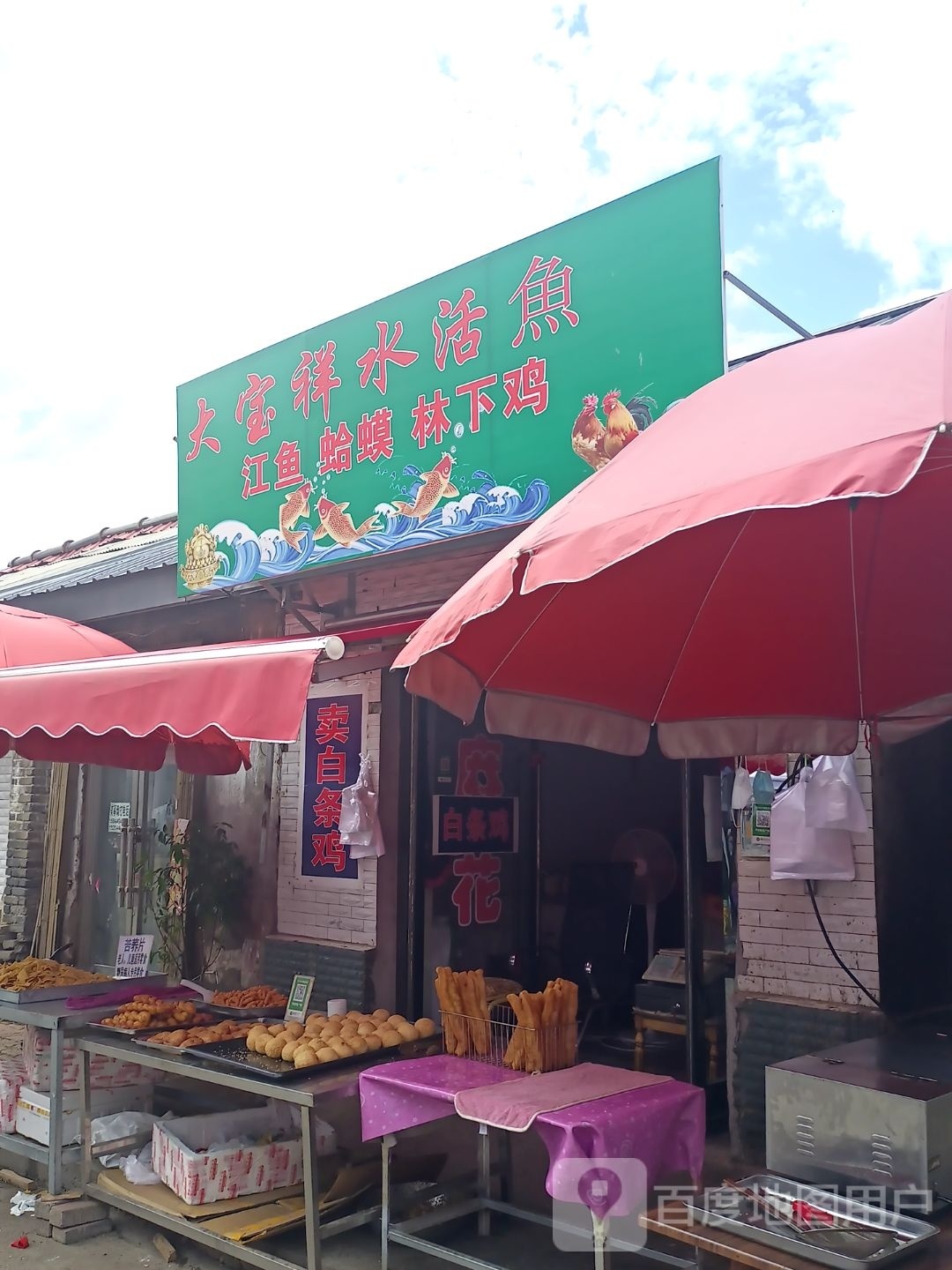 大宝祥水鱼活