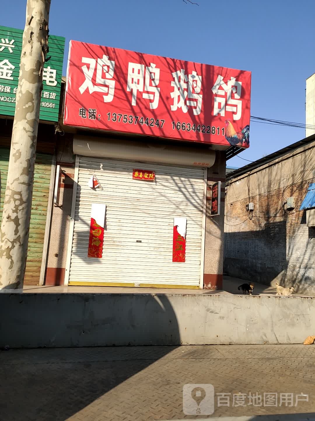 周小民火鸡